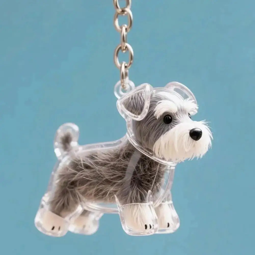 Pet Dog Fur Memorial Keepsake Keychain Pendant Dog Fur Container Pet Hair Storage Keychain Pet Lovers Pet Souvenirs