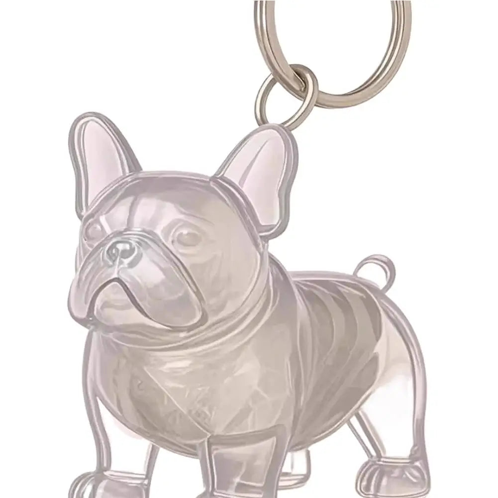 Pet Dog Fur Memorial Keepsake Keychain Pendant Dog Fur Container Pet Hair Storage Keychain Pet Lovers Pet Souvenirs